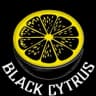 Black Cytrus Studio