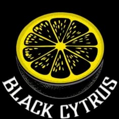 Black Cytrus Studio logo